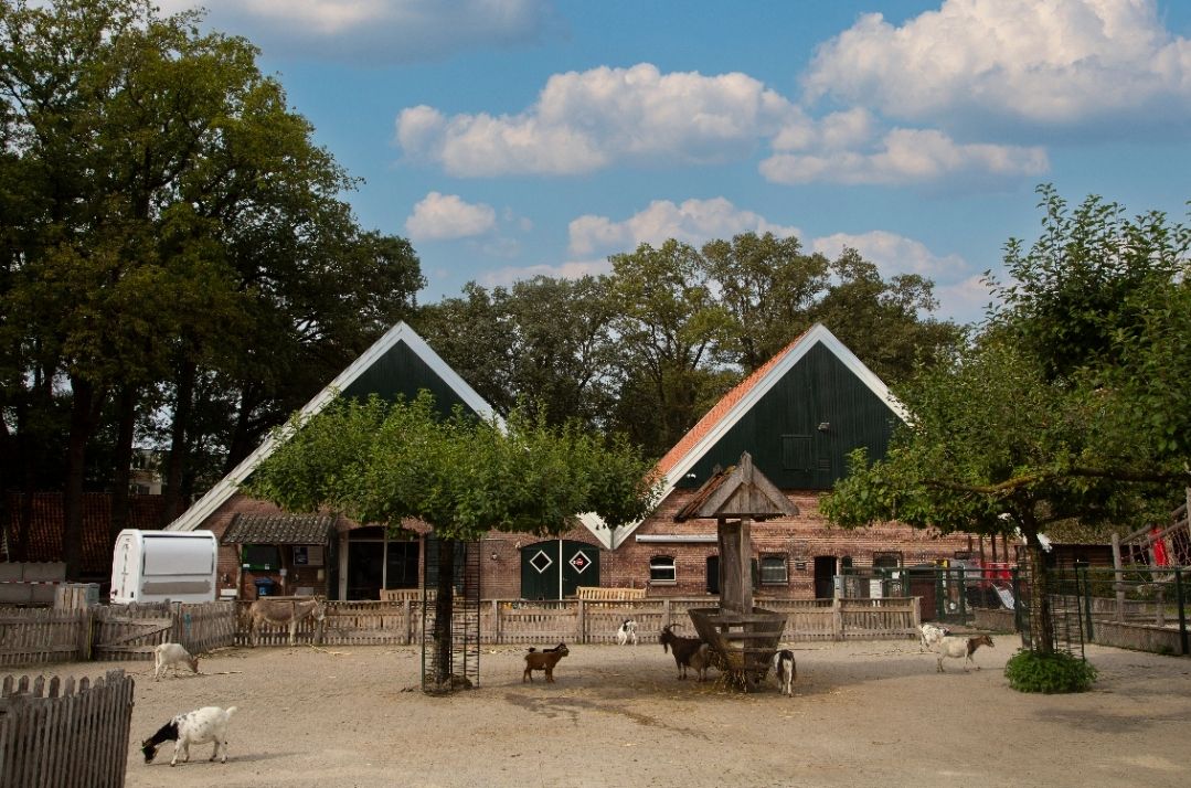 kinderboerderij-de-wesseler.